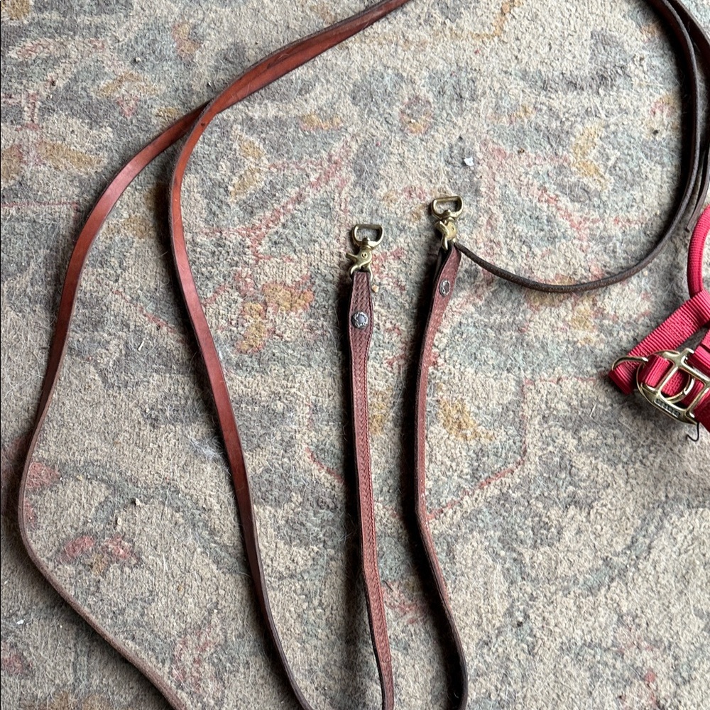 Horse reins